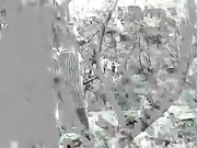 树林系列