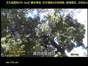 pm-651 心血?潮丹?☆道 究??白の天使荒川 中文字幕[天20140802]_1