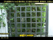 ngland skd didk kdkk 黑人的弟弟就是大[天20140810]_1