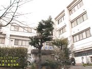 [STAR-513] 古川庐抓住了弱点的人妻护士的羞耻看 [金20150330]