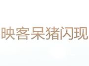 映客呆猪闪现