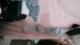 跟女朋友一起同居的闺蜜，极品丰满美女，后面姿势肏爽翻了，淫语对白！