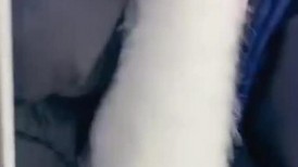 九头身170CM颜值女神！苗条身材极品美腿！扭腰摆臀搔首弄姿，多毛骚穴掰开特写