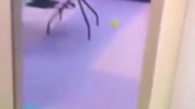 【全程高能】当着女友面操闺蜜，女友一会出来偷看一下，最后还内射帮忙递纸巾