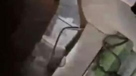 偷窥漂亮美眉洗香香 小娇乳 多毛逼 洗澡很快冲一下完事 一半时间在洗逼逼 大概毛多的原因