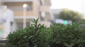 在外面租房子就这么性福，和三个小姐姐同居天堂向往啊，整天鸡动操穴享受SSIS001【水印】