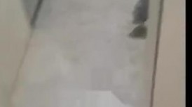 【手持闯拍】收费群 新流出网红等各种美女厕拍50多位56V[某房原版] ipcam 2711 (12)
