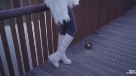 这种把逼勒得紧紧的女人，下面都藏着一个爱流水的骚穴！老子剪烂你的牛仔裤，必须往死里操，把逼撑的都张嘴了，平日的极品御姐实际是个臭婊子！