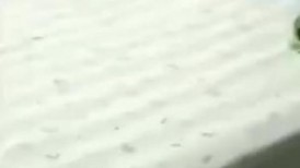 安平公园怡景城小区_22分钟完整版抓奸大瓜_男小三在家爆操绿帽男老婆爆火抖音！